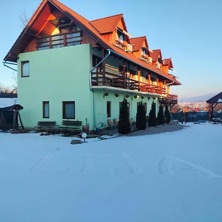 Pensiunea Leia Transfagarasan Cîrţişoara Exteriör bild