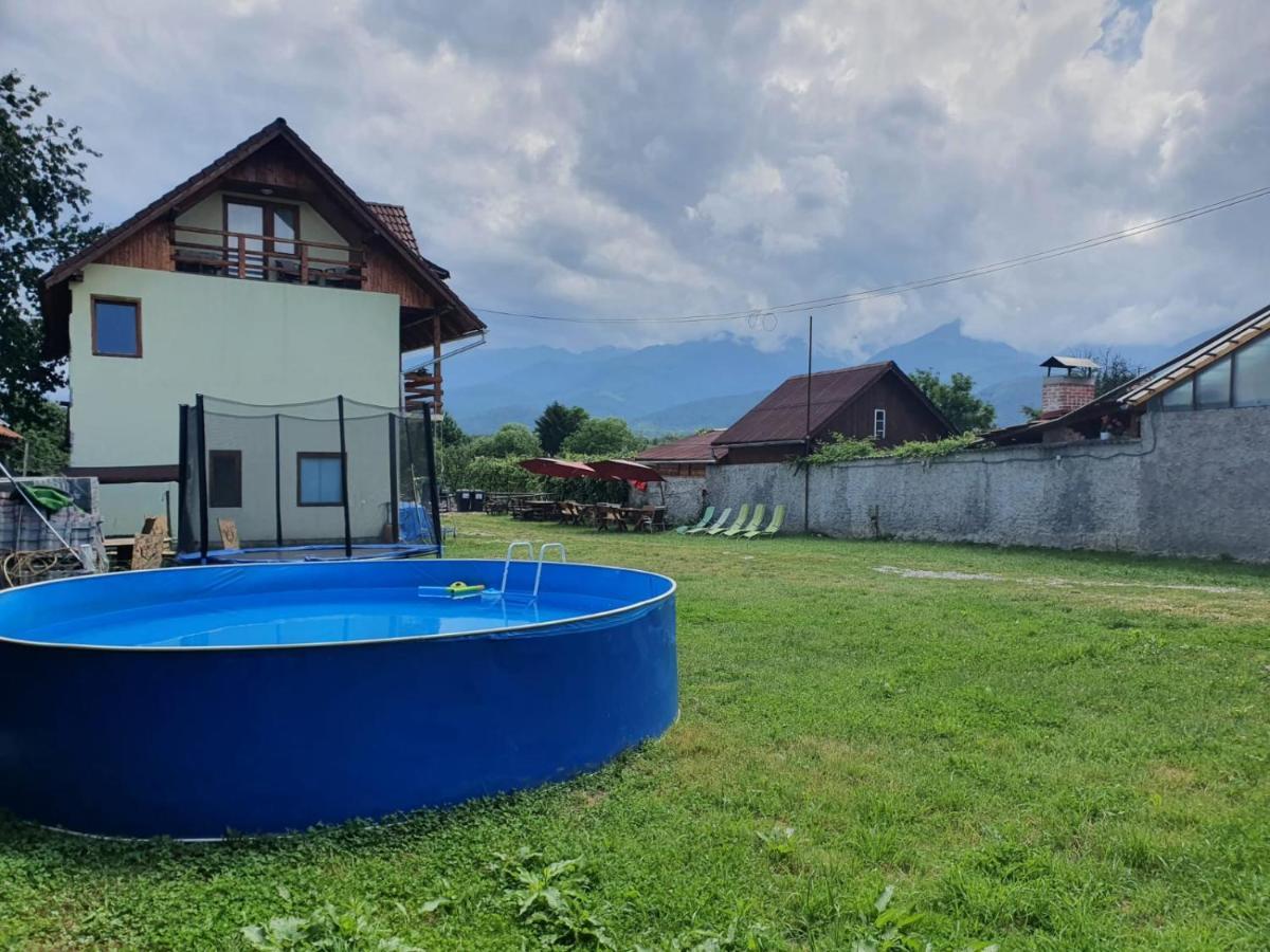Pensiunea Leia Transfagarasan Cîrţişoara Exteriör bild