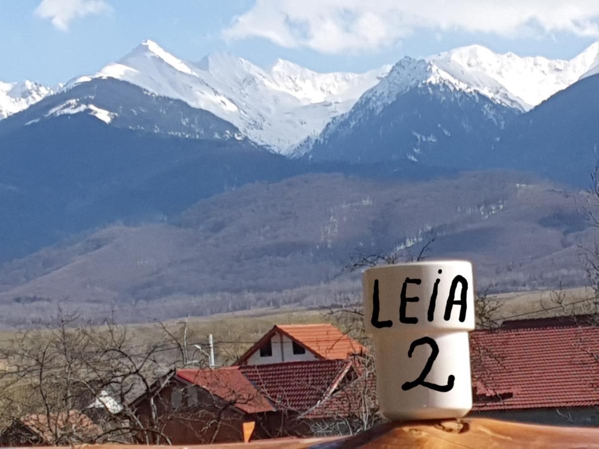 Pensiunea Leia Transfagarasan Cîrţişoara Exteriör bild