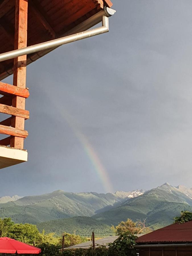Pensiunea Leia Transfagarasan Cîrţişoara Exteriör bild