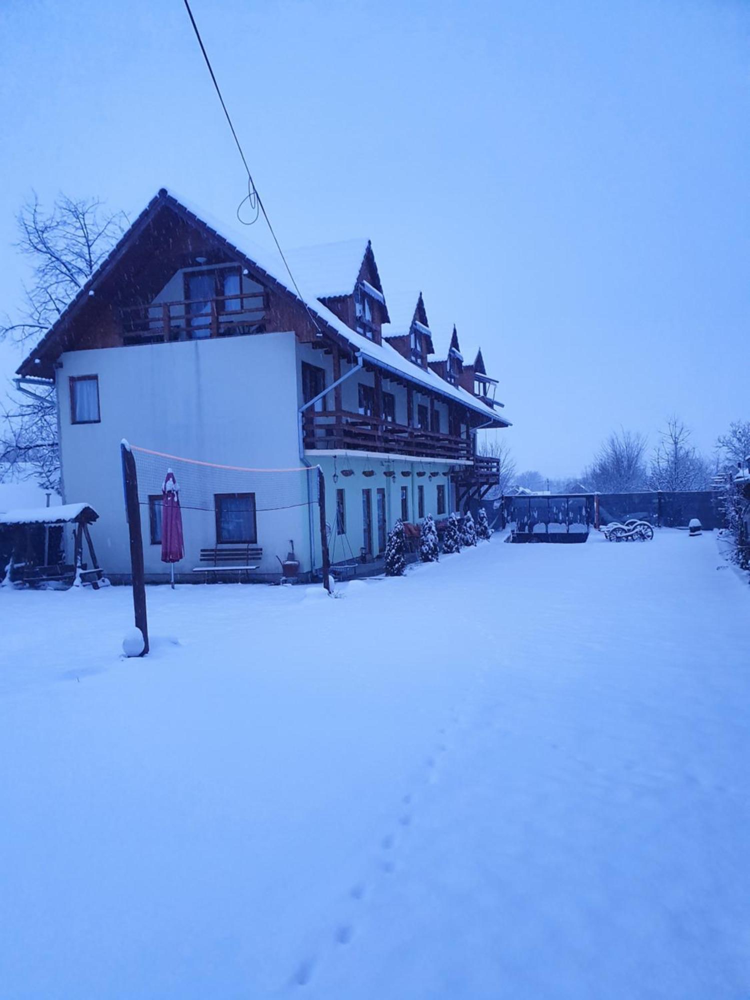 Pensiunea Leia Transfagarasan Cîrţişoara Rum bild