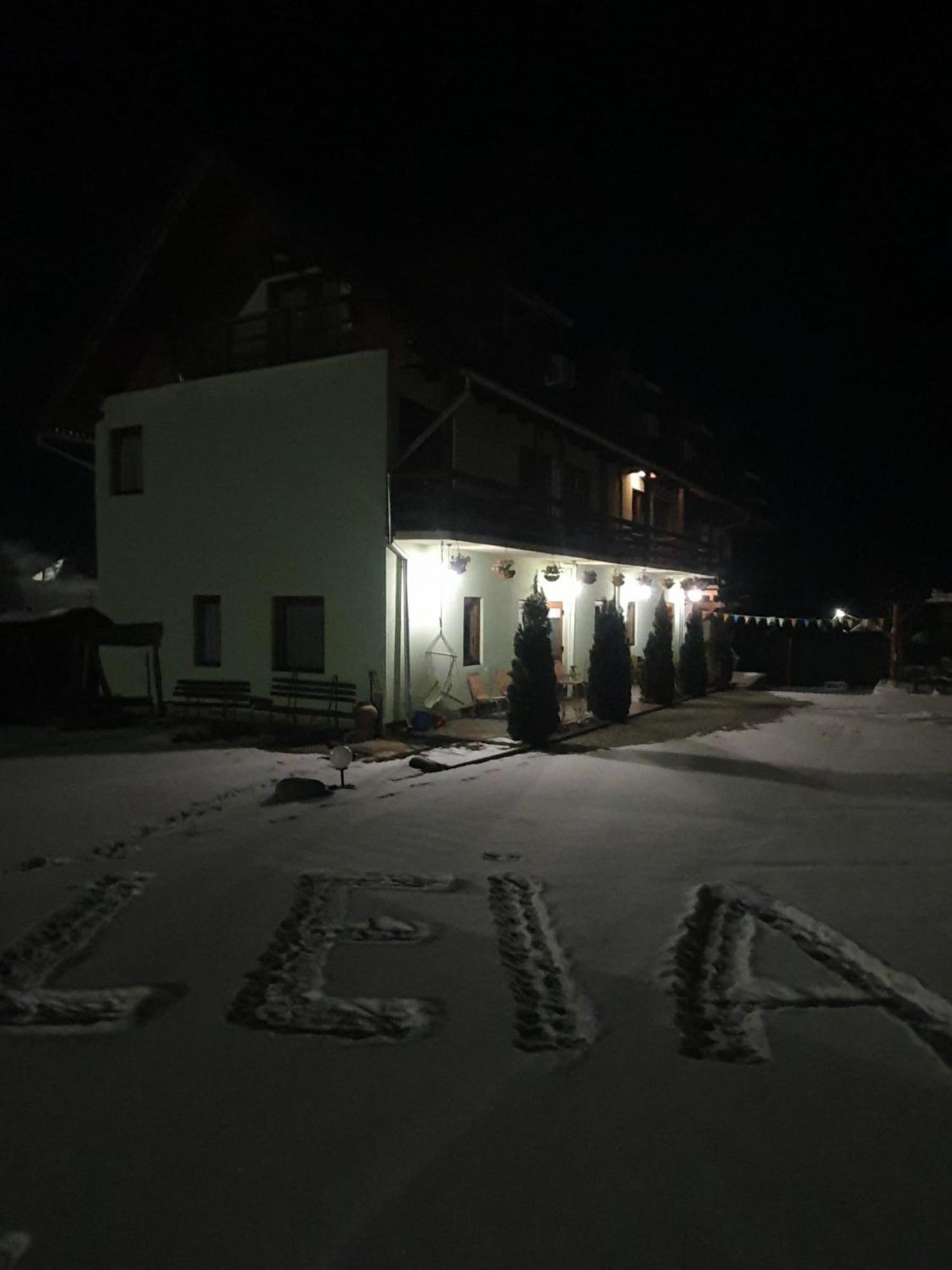 Pensiunea Leia Transfagarasan Cîrţişoara Exteriör bild